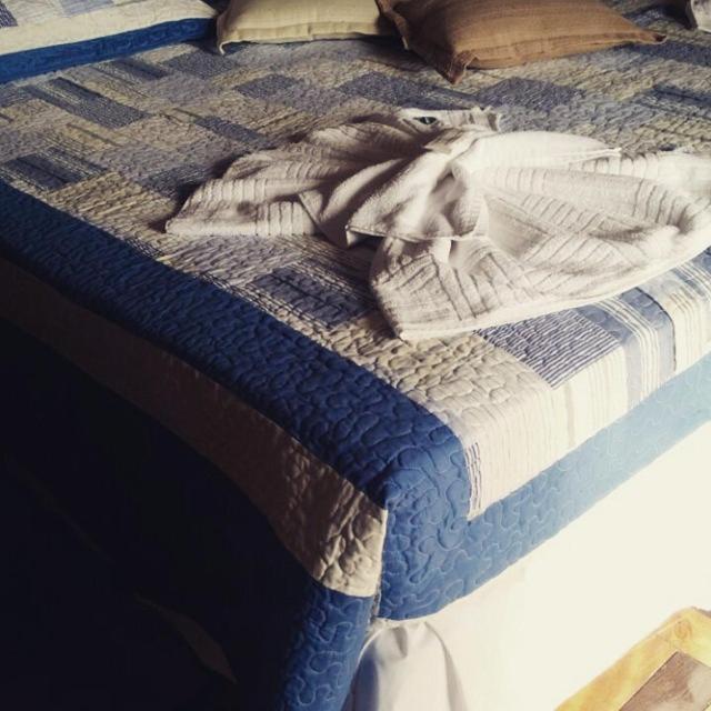 Varzea Palace Hotel Teresópolis Zewnętrze zdjęcie